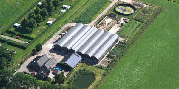 8-2017-195-origineel