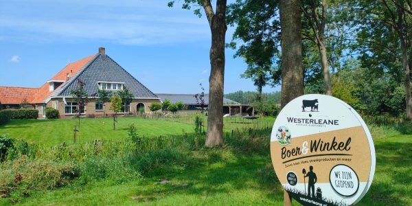 Afbeelding van WhatsApp op 2025-07-24 om 17.25.43_a7b19748