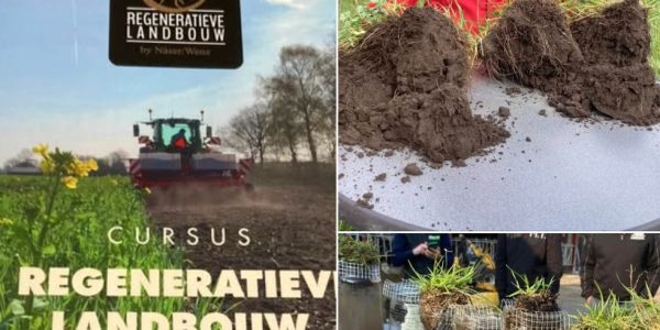 Afbeelding van WhatsApp op 2025-11-05 om 11.29.27_f06edeaf