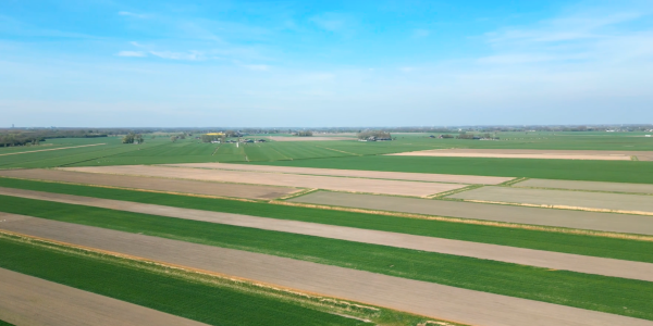 Screenshot 2025-05-27 at 09.40.56