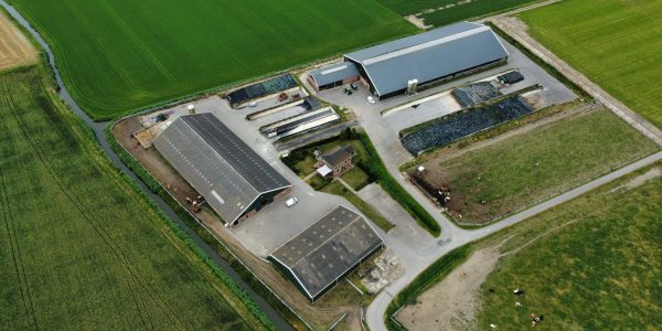 WhatsApp Image 2025-05-30 at 19.20.46