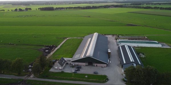 WhatsApp Image 2025-06-05 at 11.58.19